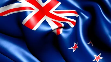 IT jobs in NZ... What's in demand?