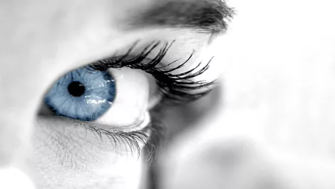 New NZ app helps Kiwis keep eye on health...
