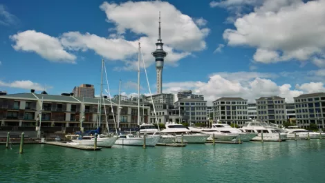 Vocus focus on Auckland expansion