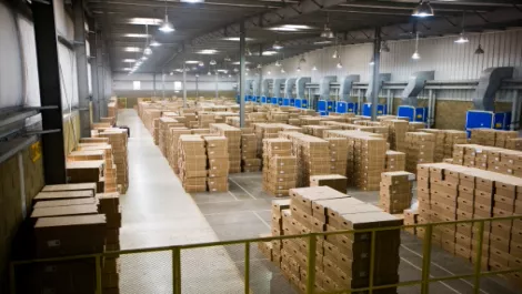 DC appointed Quantum's exclusive NZ distributor