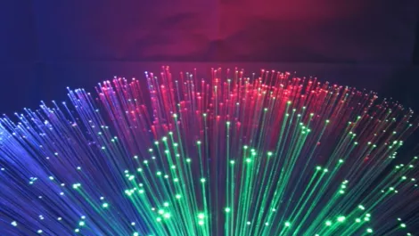 High fibre time for Kiwi business...