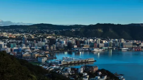Grow Grow Grow your ICT in Wellington...