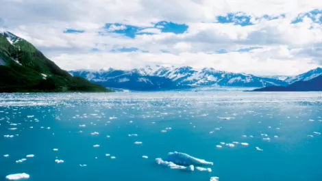 Callaghan Innovation appoints CEO all the way from Alaska