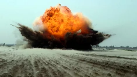 Sophos sees 'explosive' mobile device management growth