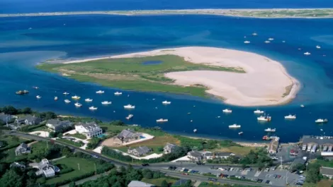 Affordable broadband debuts in the Chatham Islands