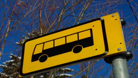 Snapper stopped by Auckland Transport