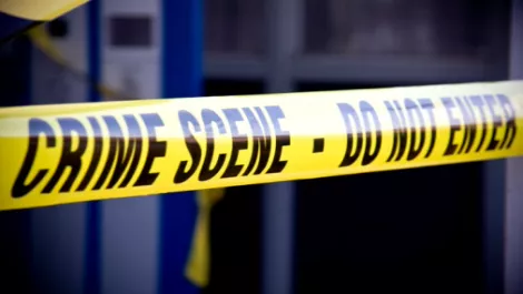 Wynyard Group joins forces with NZ Police... tackles crime through tech