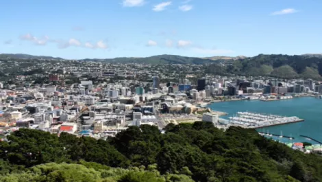 CodeBlue makes Wellington GM appointment