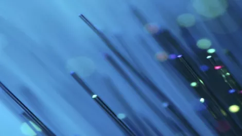 Crown fibre to shortlist in a month