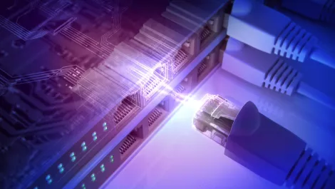 Fibre Watch: Pipe dreams