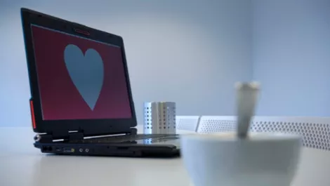 Kiwis continue internet love affair