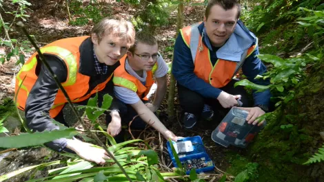 Microsoft triggers hi-tech rat trap build among students
