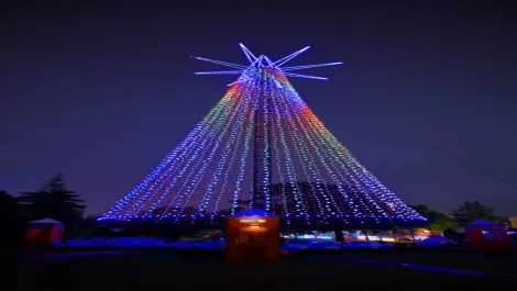 Santa's hotline lights up Xmas tree