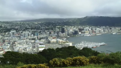 Wellington claims top speeds