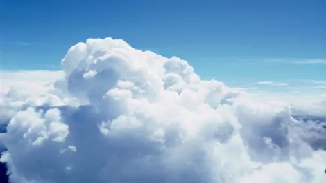 Still too early for cloud: expert