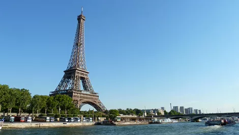 French distie acquires WhiteGold...