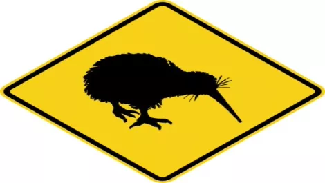 Google reveals top Kiwi searches