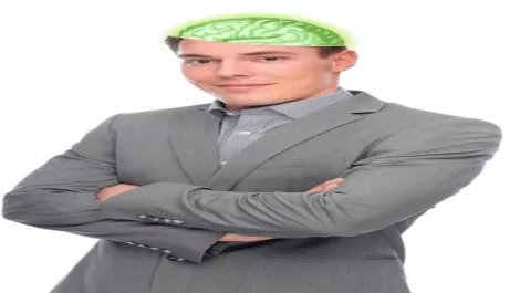 The Greening of New Zealand Businesses