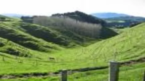 Kiwishare scrapped in favour of levy for rural broadband