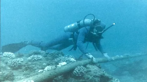 Southern Cross extends undersea cable service