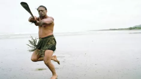 Ngai Tamanuhiri partners with Fronde to connect tribes around New Zealand