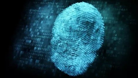 How to protect your business from identity fraud