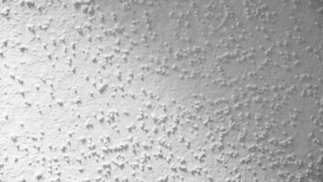 Law firm puts out feelers for class action against cladding manufacturers