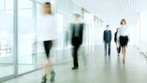 NZ economic growth to slowly come off boil in next three years: NZIER survey