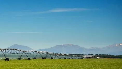 Crown Irrigation considers further irrigation investments