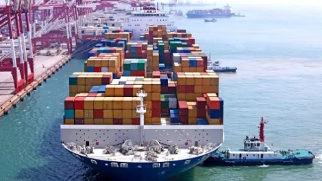 NZ, US escalate WTO action against Indonesia on import restrictions