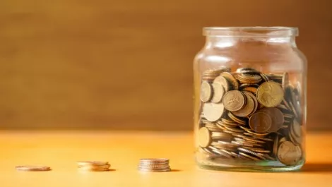 PledgeMe seeks $250,000 investment