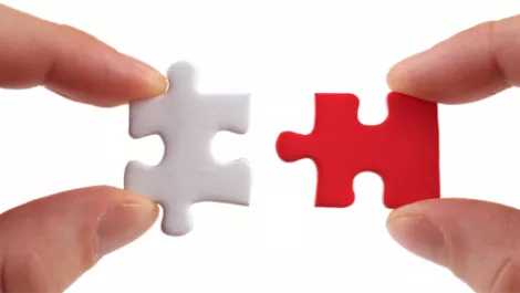 Kiwi UC firm Cogent enters strategic partnership with Nectar Services Corp