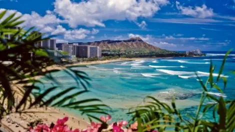 Aloha Hawaii for Ingram Micro resellers