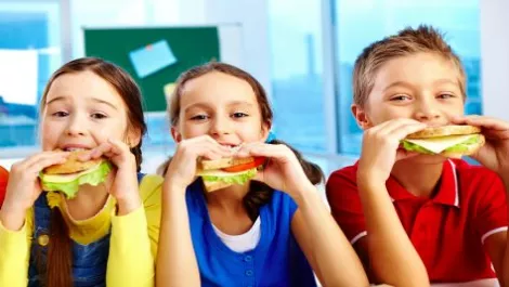 Eat My Lunch looking for $200,000 with crowdfunding campaign