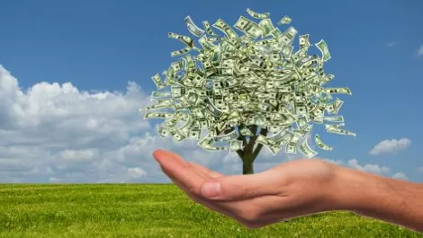Cisco, HP help propel Dicker Data to $531.5 million half-year