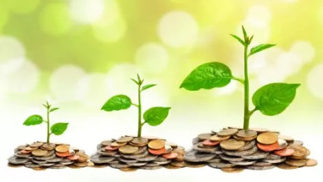 Cloud DC wins $1 million Federal Government grant