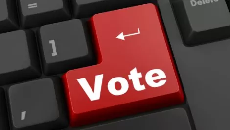 Wellington City Council to participate in online voting trial