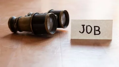 NZ employment market remains flat