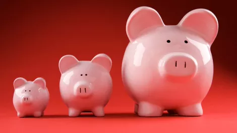 Which distie is paying the most Australian tax?