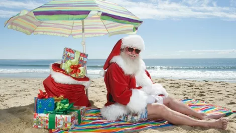 It's a wrap: our best stories of the year