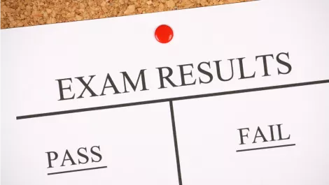 NCEA exam results online