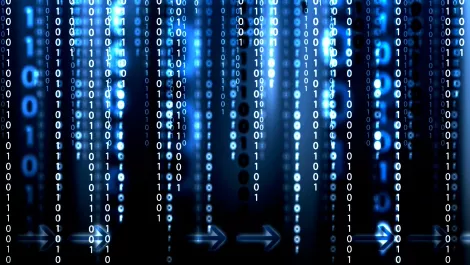 Cyber security knowledge on the rise, but is it enough?