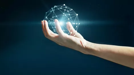 New Zealand ICT sector looking rosy