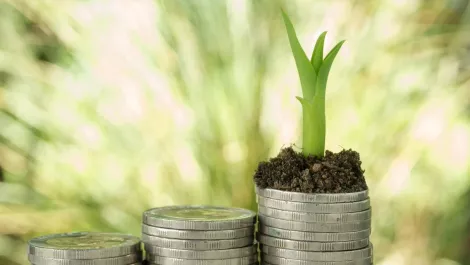 Dicker Data logs record revenue and profit for 'very satisfying' year