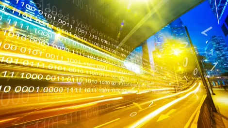 The Hutt Valley primed to be NZ's next tech hub
