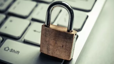 Waikato University takes on Kiwi cyber security