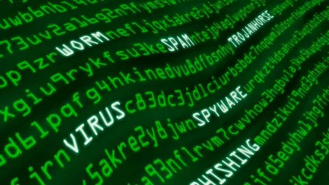 Kiwi companies aren't prepared for DDoS attacks