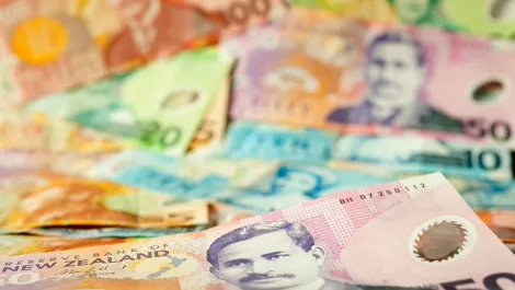More government investment in Auckland schools