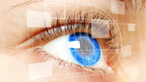 Squiz gives Vision Australia clearer view of information