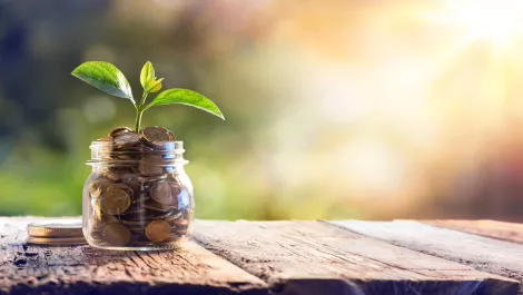Gartner's tips for significant savings on software spend